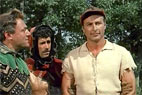 Rebell ohne Gnade (TV-Titel: Robin Hood, der Rebell)