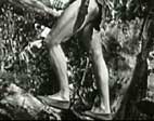 Tarzan's Peril