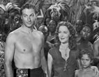 Tarzan, der Verteidiger des Dschungels